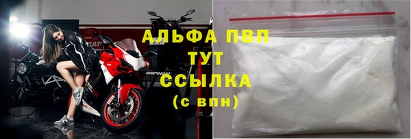 амф Белокуриха