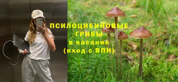 кокаин Богданович