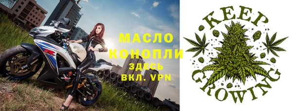 ГАЛЛЮЦИНОГЕННЫЕ ГРИБЫ Богородск