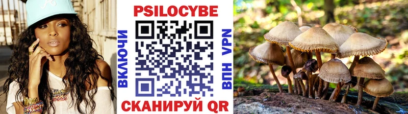 Псилоцибиновые грибы MAGIC MUSHROOMS что такое omg ONION Болгар